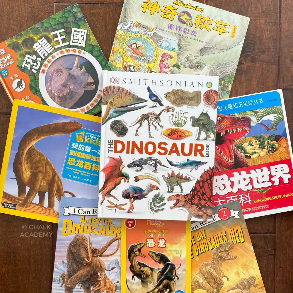 English and Chinese Dinosaur Books for Kids of All Ages!