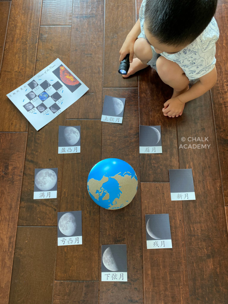 Phases of the moon around the Earth; flashlight sun
