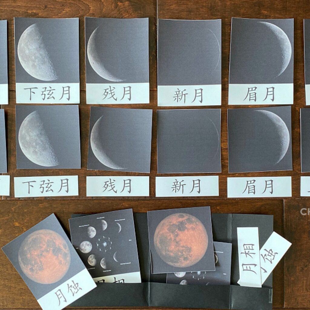 Montessori moon phase 3-part cards Chinese
