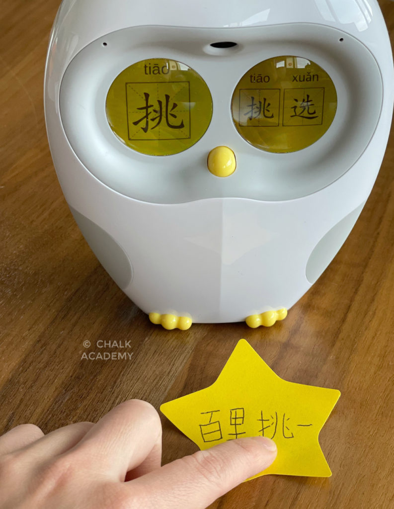 WEB限定】 Luca hero 中国語 英語 DWE絵本読み上げロボット
