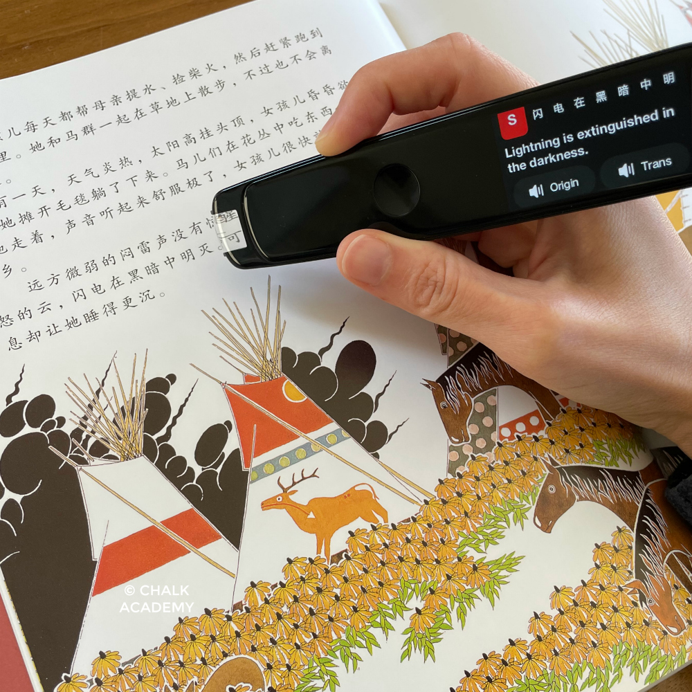This Bilingual English-Chinese Reading Pen Translates On the Go!