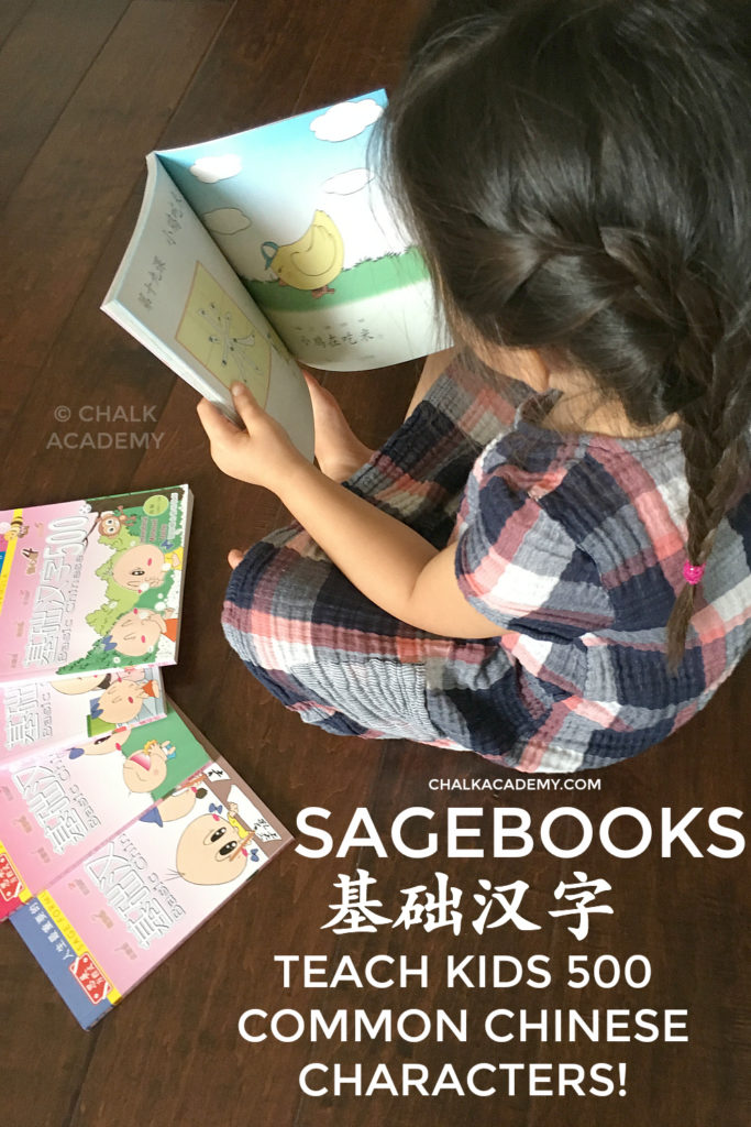 Review of Sagebooks Chinese for Kids Beginner 500《基础汉字500》