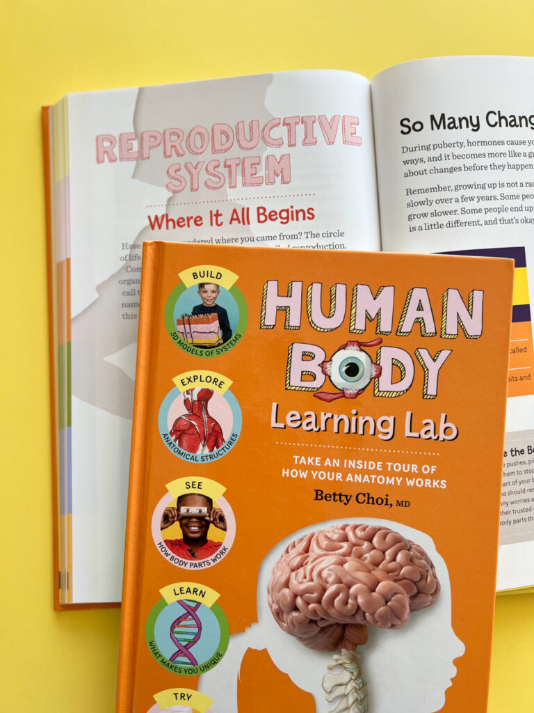 Human Body Learning Lab - anatomy book for kids- Reproductive System Chapter