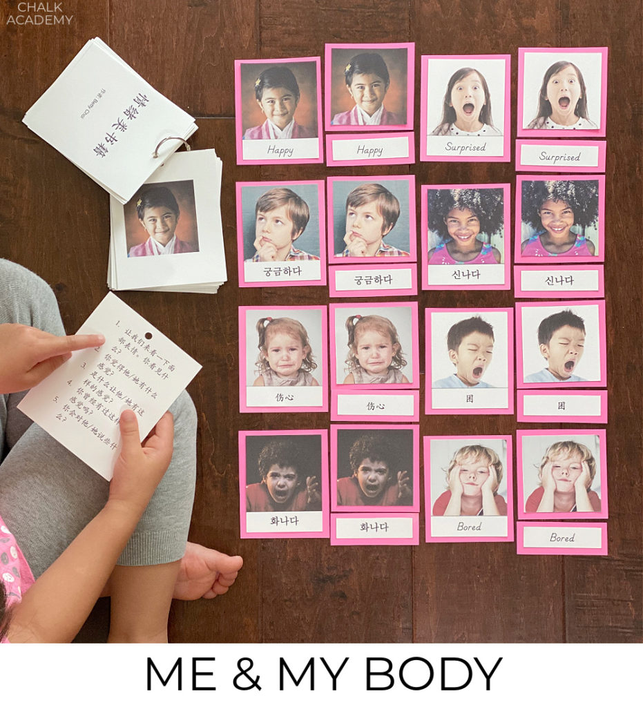 Bilingual me and my human body learning activities for kids