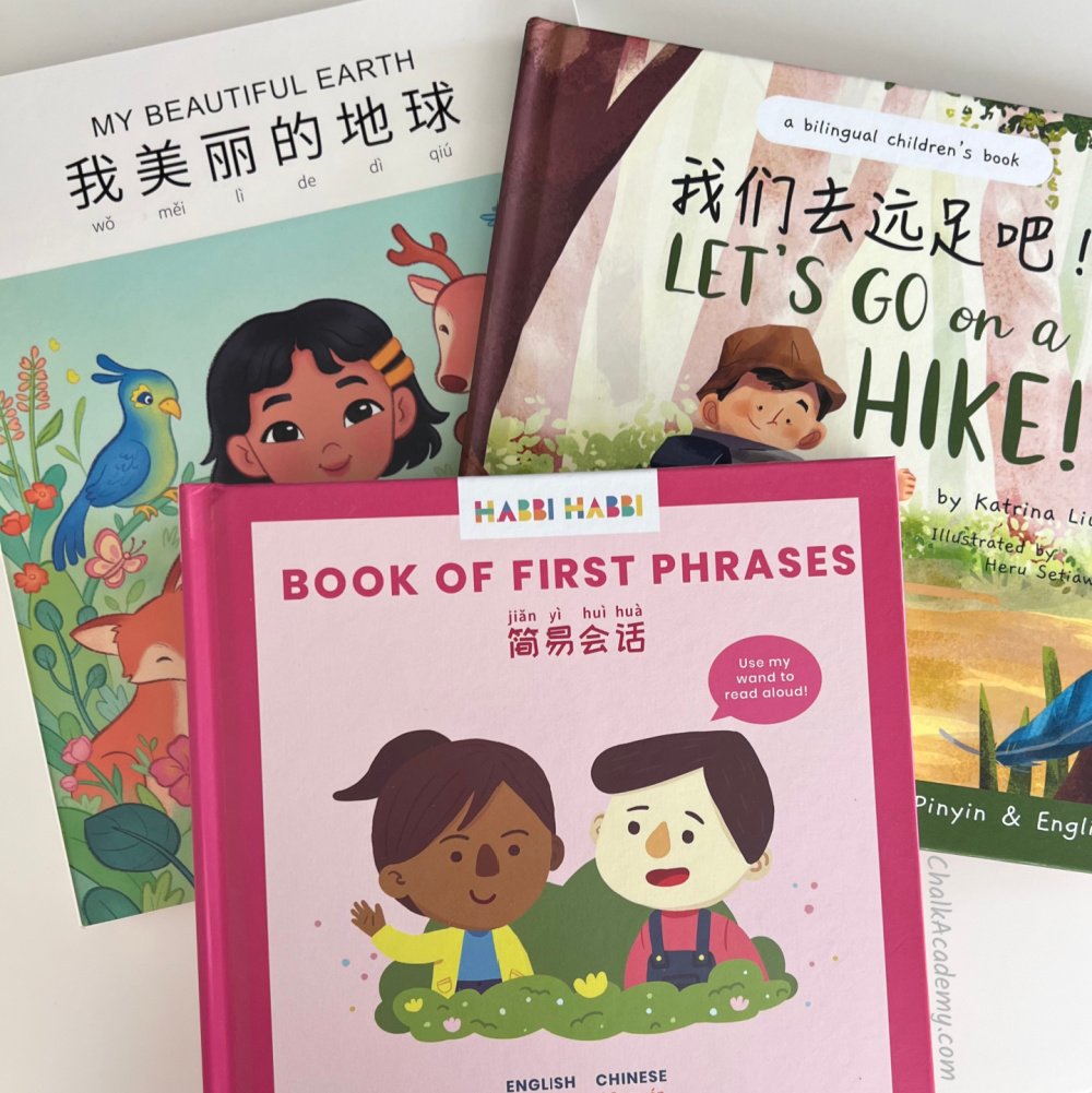 Best Bilingual Chinese Picture Books with Pinyin and English