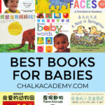 English Chinese bilingual books for babies