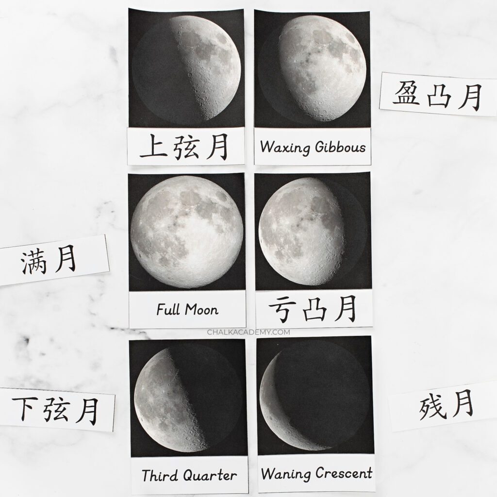 Montessori Moon Phase 3 part cards - English Chinese