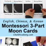 Montessori Moon Phase 3-Part Cards in English, Chinese, Korean